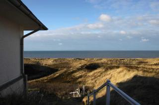Strandhafer - Hörnum - 0