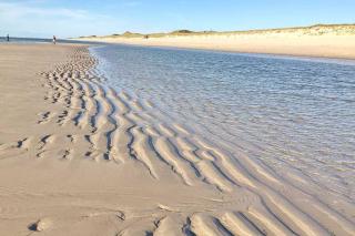 Strandhafer - Hörnum - 3