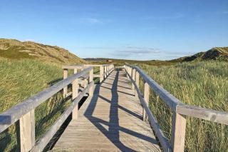 Strandhafer - Hörnum - 2