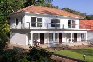 Tusker Trail by LuxUnlock - 6