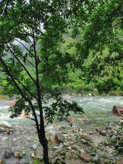 Thehraav By The River - Mudhouse Odyssey, Tirthan Valley - 6