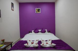 Paradise Auro Resort - Kottakupam - 5