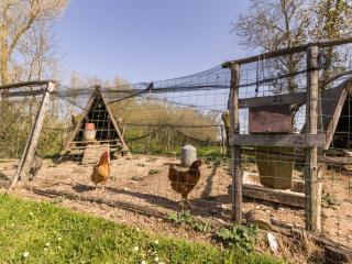 Gîte champêtre rénové avec terrasse & équipements, proche Pornic - animaux acceptés - FR-1-306-1027 - 1
