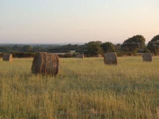 Gîte champêtre rénové avec terrasse & équipements, proche Pornic - animaux acceptés - FR-1-306-1027 - 4