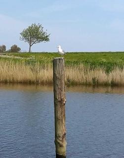 Beeke - Carolinensiel - 5