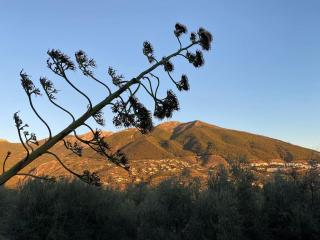 Casa La Maroma - Spacious and quiet family home - Alcaucín - 4