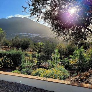 Casa La Maroma - Spacious and quiet family home - Alcaucín - 1