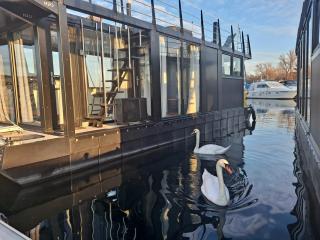 Floating Experience Black Pearl, Lago Maggiore - Dormelletto - 2