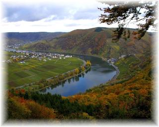 Weingut im Moselkrampen - Ellenz-Poltersdorf - 2