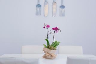 Apartamento Gaudí-Sant Pau - 1