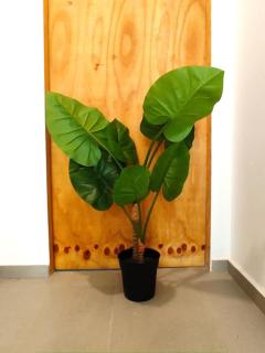 Acogedor loft central en Valencia_ calamochaA - Valencia - 6
