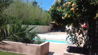 Aux Portes de la Camargue - 7