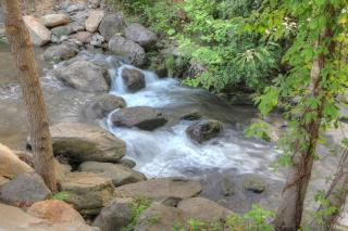 Hampton Inn Gatlinburg Historic Nature Trail, Tn - Gatlinburg - 8