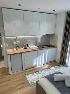 Luxury Apartment Tirana - Tirana - 1