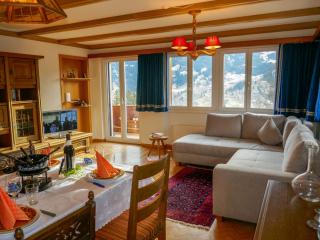 Apartment Chalet uf Duft by Interhome - Grindelwald - 9