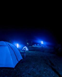 Wild Jacket - Vagamon - 3
