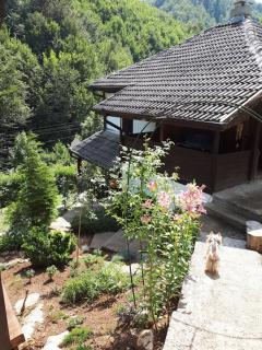 Vila Anna - Ribarica - 5