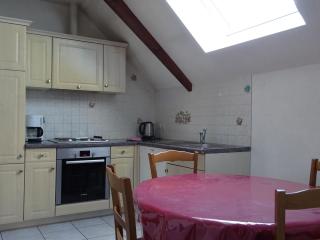 Gîte familial avec jardin et vélos, proche Le Mans - FR-1-410-146 - 7