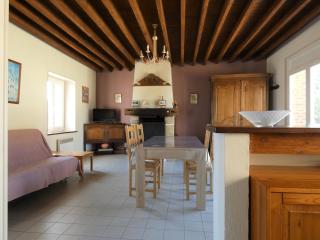 Charmante maison de ferme avec pigeonnier, jardin, cheminée et salle de jeux à Aufferville - FR-1-581-38 - - 2