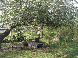 Gîte au calme avec verger, à proximité de randonnées et sites culturels - FR-1-586-9 - 4