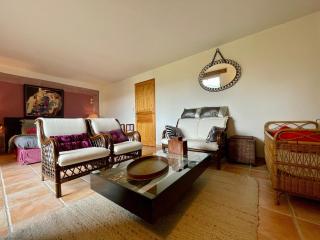 Gîte familial avec terrasse panoramique et cheminée, idéal pour randonnées près de Retournac - FR-1-582-355 - Retournac - 3