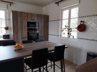Retraite paisible avec cheminée, étang privé et chalet près du Mans - FR-1-410-382 - - 7