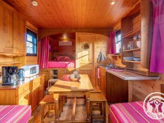 Roulotte climatisée avec piscine et jardin - FR-1-622-54 - 7