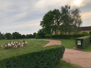 Gîte de Charme : Calme, Nature, Proche du Mans, Terrasse, Jardin, Parking Privé - FR-1-410-397 - Montbizot - 6