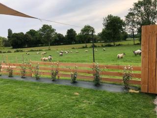 Gîte de Charme : Calme, Nature, Proche du Mans, Terrasse, Jardin, Parking Privé - FR-1-410-397 - Montbizot - 4