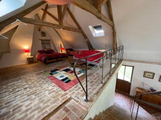 Maison de Charme en Sologne avec Étang Privé, Grand Parc et Cheminée - FR-1-586-37 - Sainte-Montaine - 1