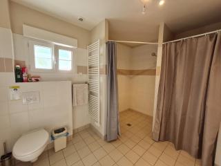 Gîte 5 pers au calme avec grande terrasse, près de Meung-sur-Loire et circuit des Châteaux de la Loire - FR-1-590-20 - Cravant - 4