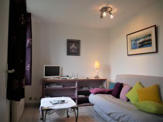 Gîte cosy en Val de Loire, proche Loire, Sologne, Sully/Loire - 1 ch, salon, cuisine, linge inclus - FR-1-590-30 - Guilly - 8