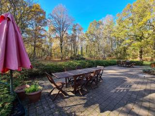 Maison Rustique Familiale en Sologne avec Grands Espaces, Proche Châteaux de la Loire - FR-1-590-1 - 5