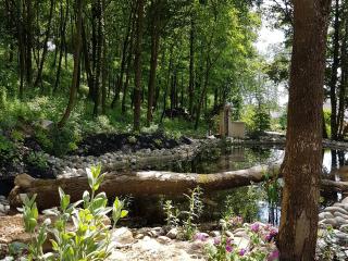 Maison de campagne éco-construite, spa, proche Nancy, tout confort, petit-déjeuner inclus - FR-1-584-83 -  - 4