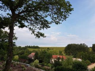 Maison de campagne éco-construite, spa, proche Nancy, tout confort, petit-déjeuner inclus - FR-1-584-83 -  - 3