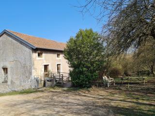 Gîte chaleureux au bord d'un ruisseau avec grand jardin, proche Metz et Nancy - FR-1-584-64 - 7