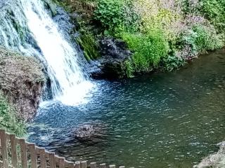 Maison de Caractère pour 12, Proche Gérardmer & Thermes, Nature et Confort - Bellefontaine - FR-1-589-40 - 6