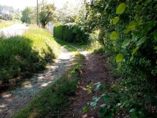 Maison de Caractère pour 12, Proche Gérardmer & Thermes, Nature et Confort - Bellefontaine - FR-1-589-40 - 2
