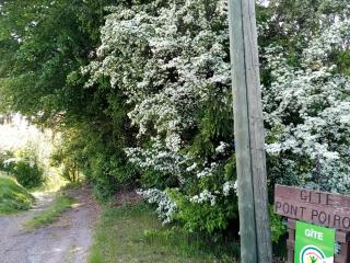 Maison de Caractère pour 12, Proche Gérardmer & Thermes, Nature et Confort - Bellefontaine - FR-1-589-40 - 1