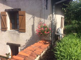 Maison de village 6 pers avec salle de jeux, proche nature et cristalleries de Baccarat - FR-1-589-59 - 5