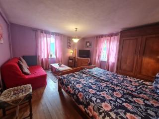 Gîte paisible avec garage, terrasse et Wifi près du lac de Gérardmer - FR-1-589-159 - Gérardmer - 6