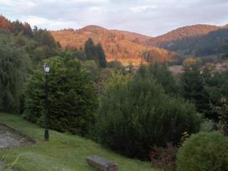 Maison de charme à Lubine, idéale pour randonnées et famille, proche Alsace et stations de ski - FR-1-589-192 - 3