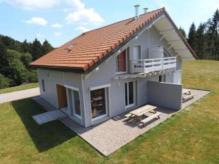 Gîte neuf au calme près de Gérardmer avec terrasse et balades en forêt - FR-1-589-217 - Le Tholy - 0