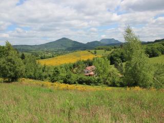Gîte chaleureux avec cheminée, jardin, proche des randonnées Vosgiennes et attractions Alsaciennes - FR-1-589-224 - Provenchères-sur-Fave - 9