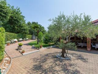 Bed and Breakfast Kolo Adults only - Novigrad - 9