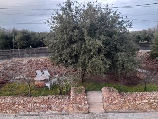 Wild strawberry Farm Ajloun مزرعة القيقب عجلون - Ishtafaynā - 1