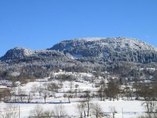 Gîte familial restauré avec jardin clos, équipements bébé, animaux acceptés, proche St-Julien-Chapteuil - FR-1-582-296 - 3