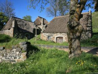 Location authentique avec cheminée et toit de chaume, proche nature et activités à St-Front - FR-1-582-291 - 3