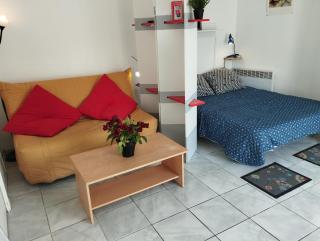 Grand studio sur jardin Nantes Beaujoire B - Nantes - 9