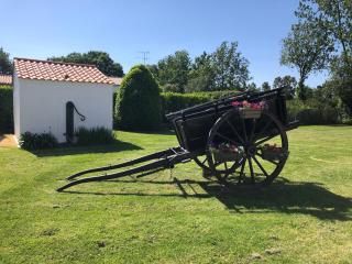 Charmant gîte 2 pers avec terrasse privative et proche Vélo Rail - FR-1-426-466 - Commequiers - 1
